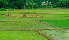 山東礦安重工有限公司